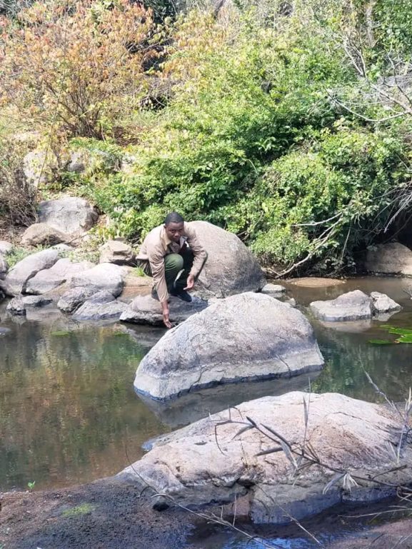 Nyangambe Community Wildlife Project