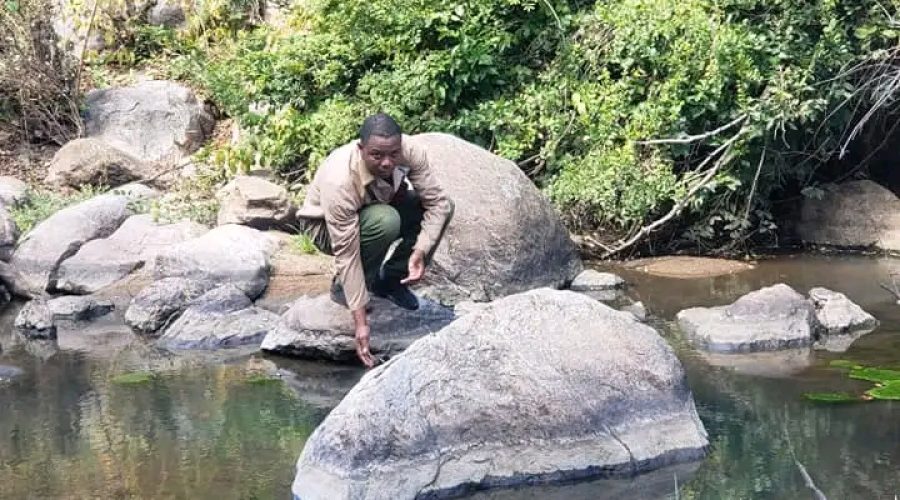 Nyangambe Community Wildlife Project, emerging tourism destination in the Lowveld.